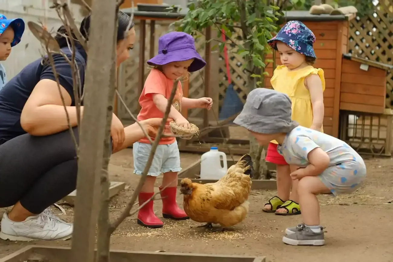 Blog Image for article The Lilyfield early learning centre where mindfulness matters