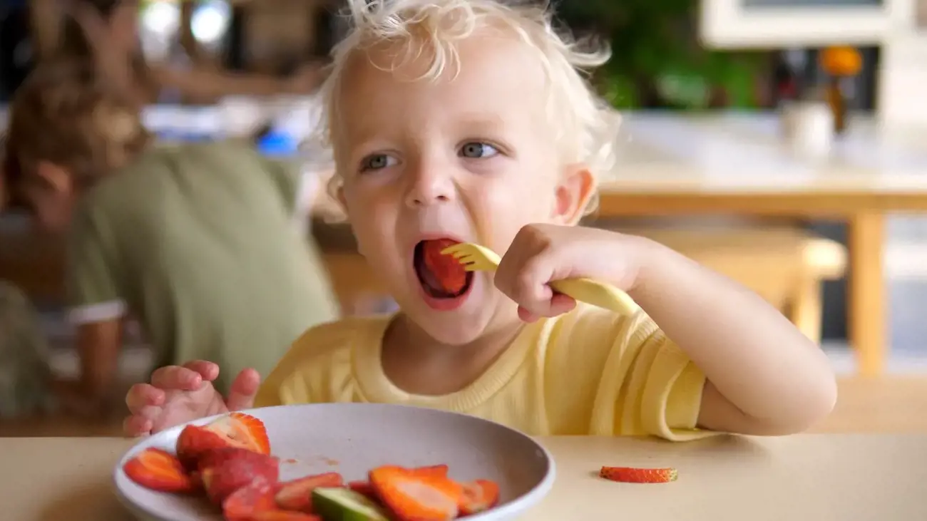 Blog Image for article Why Plant-Based Diets Are Gaining Popularity in Childcare Centres