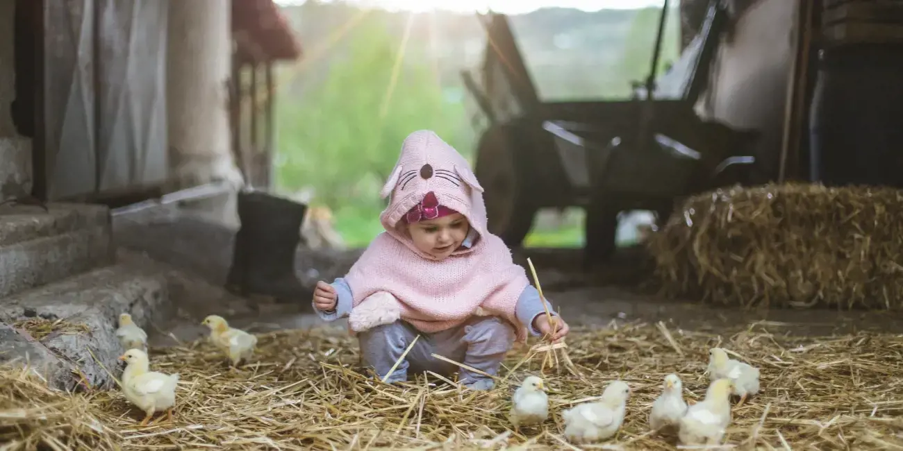 Blog Image for article Egg-cellent Easter activities for toddlers and pre-schoolers